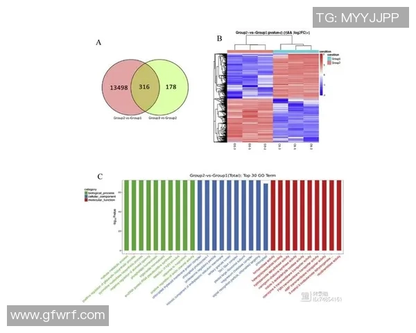 足球射正数分析及其对比赛结果的影响探讨与研究
